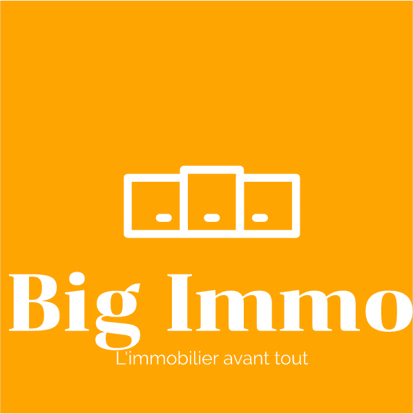Big Immo